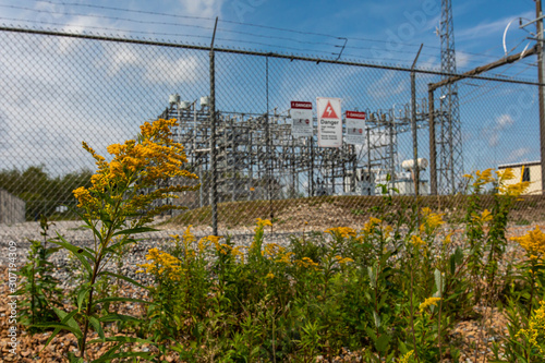 Electrical substation with an exterior electric metal fence in low angle view, selective focus on the golden rods flowers around the center