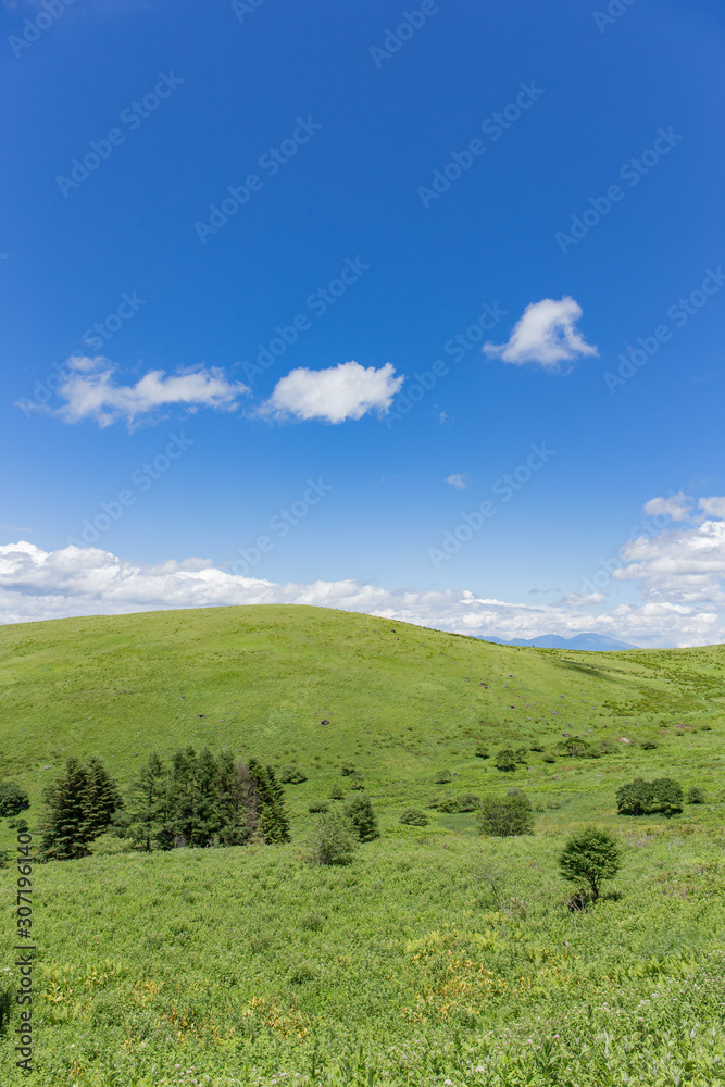 高原の風景