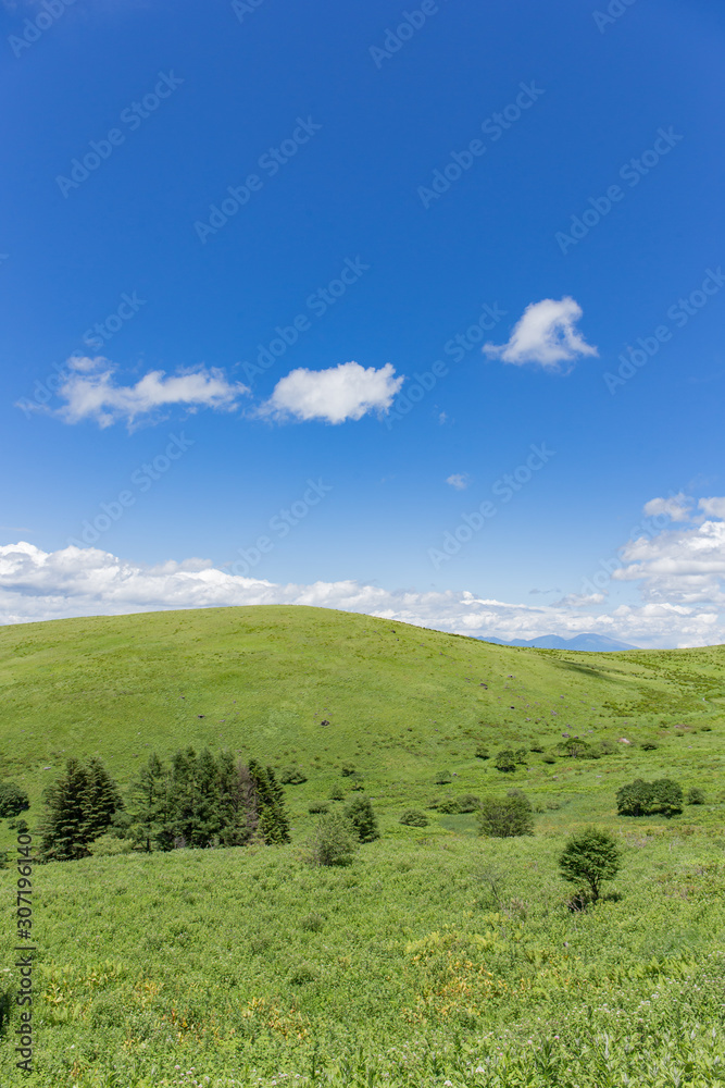 高原の風景 高原の風景