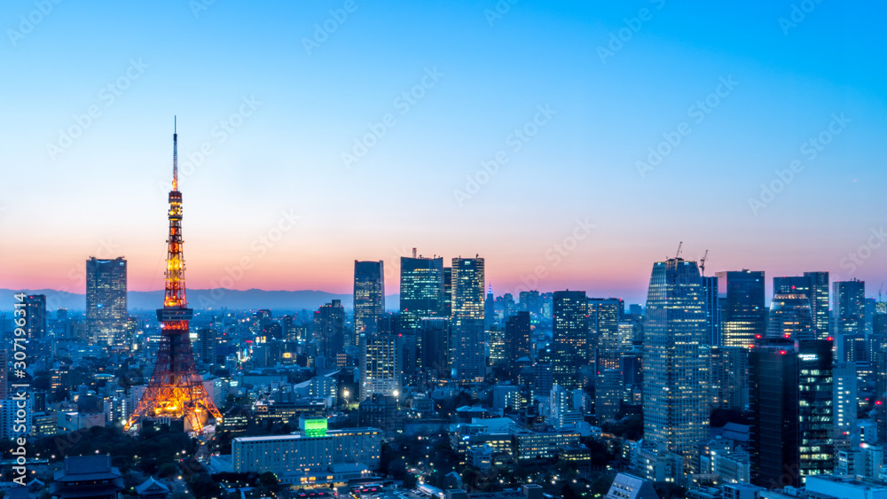 Fototapeta premium Tokyo tower at twilight, landmark of Japan
