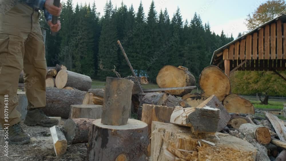 Young male farmer chopping wood outdoors, pine forest on background