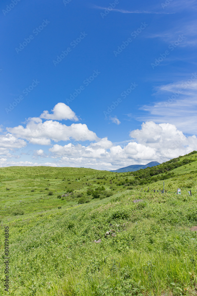 高原の風景