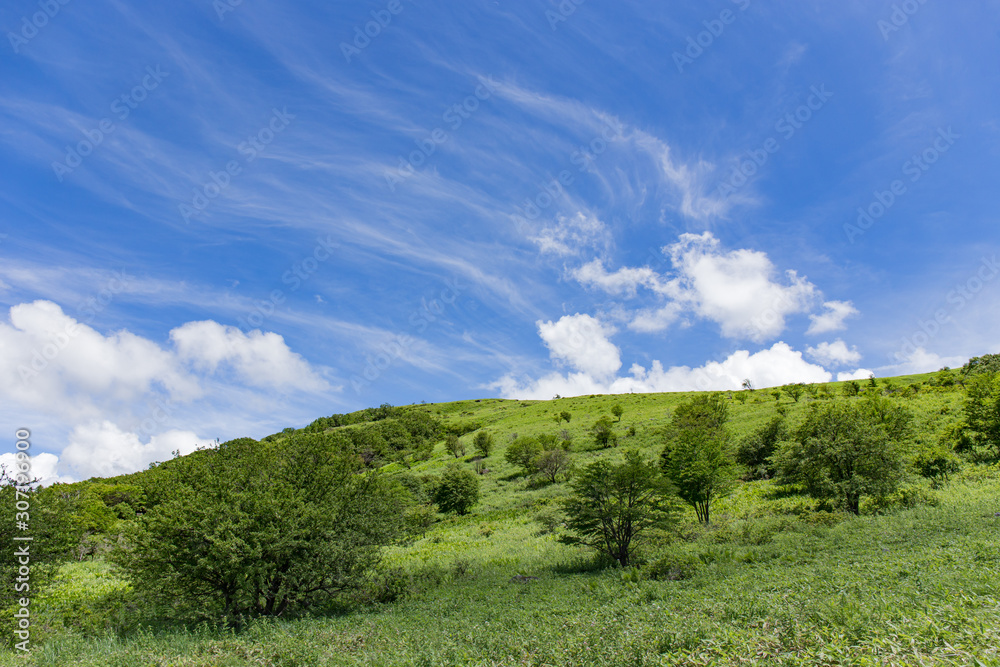 高原の風景