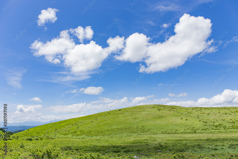 高原の風景 高原の風景