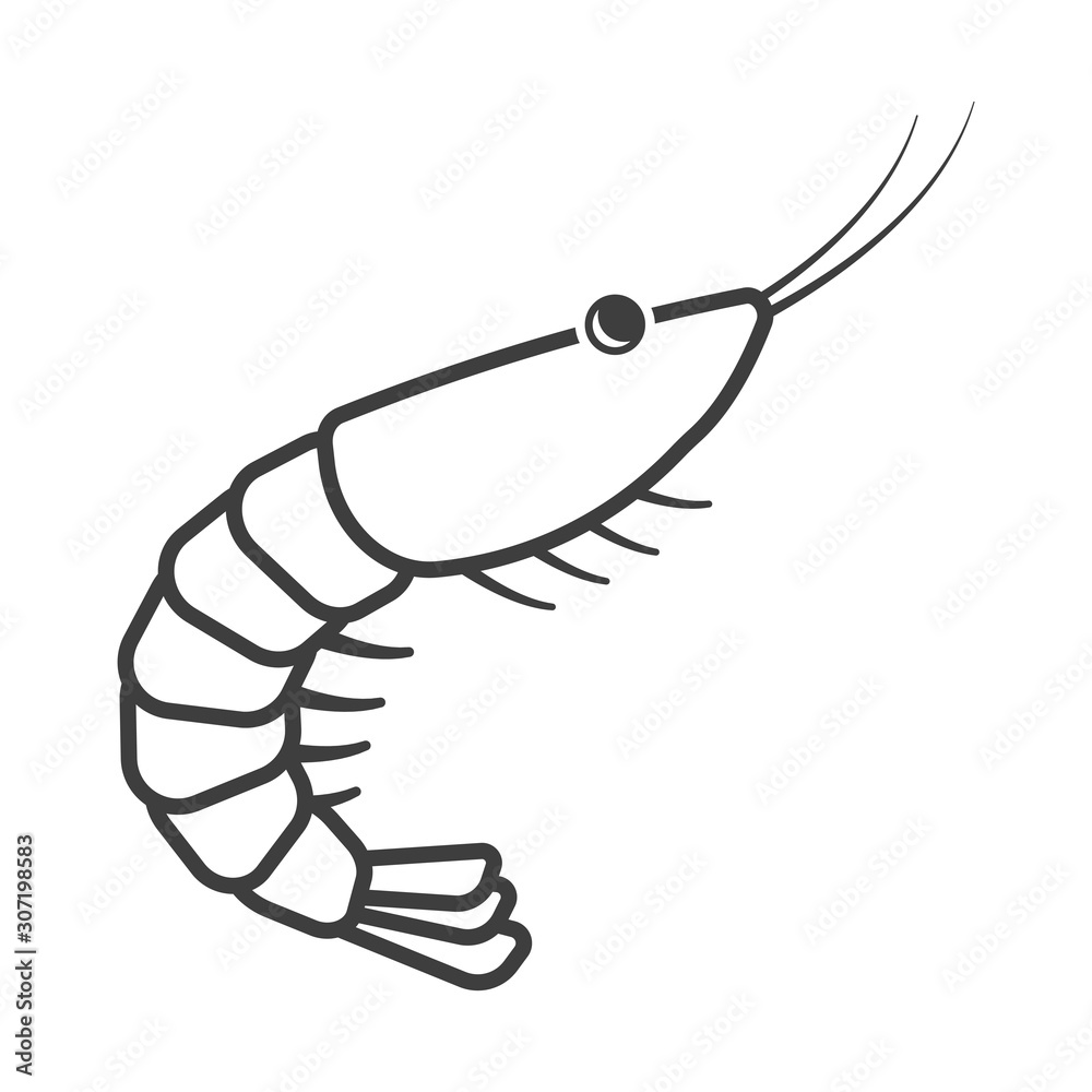 Shrimp Icon. Linear execution. Simple isolated vector on a white background. Shrimp Icon. Linear execution. Simple isolated vector on a white background.
