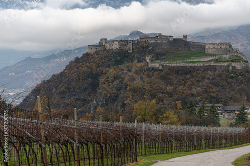 Castel Beseno and vineyard