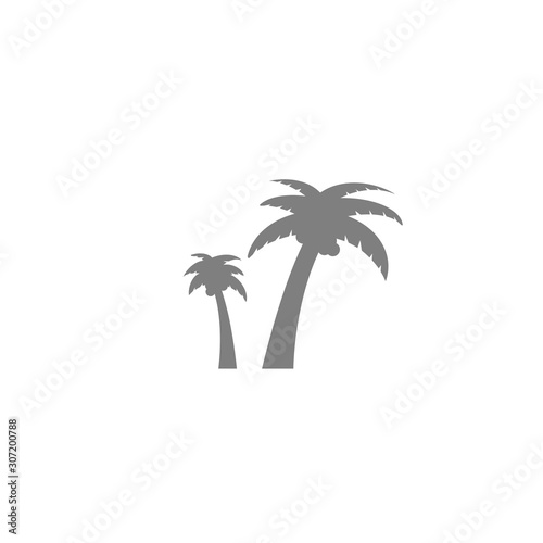 palm tree isolated on white background