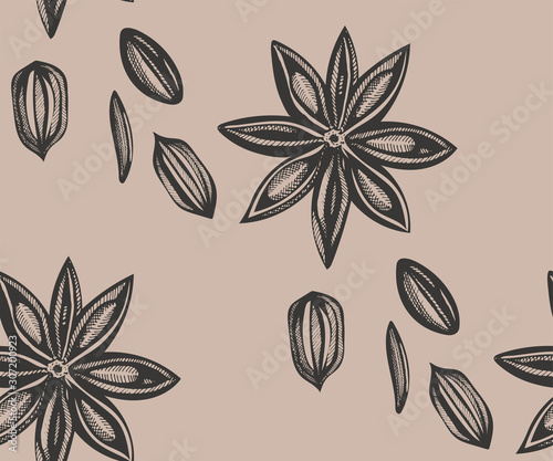 Vector background with hand drawn herbs and spices. Hand drawn ink illustration. Organic and fresh spices illustration