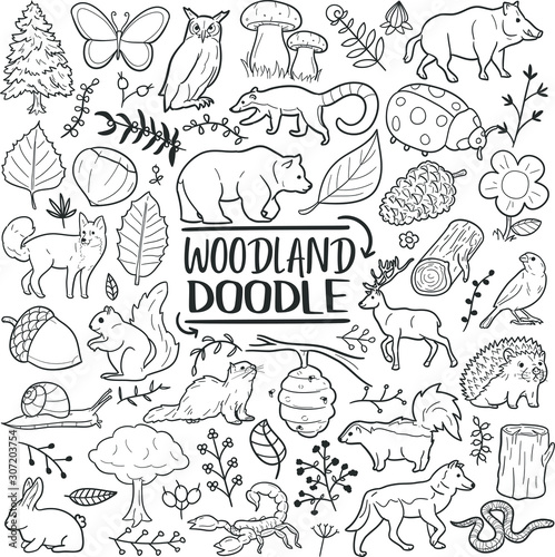 Woodland Animals Forest Traditional Doodle Icons Sketch Hand Made Design Vector.