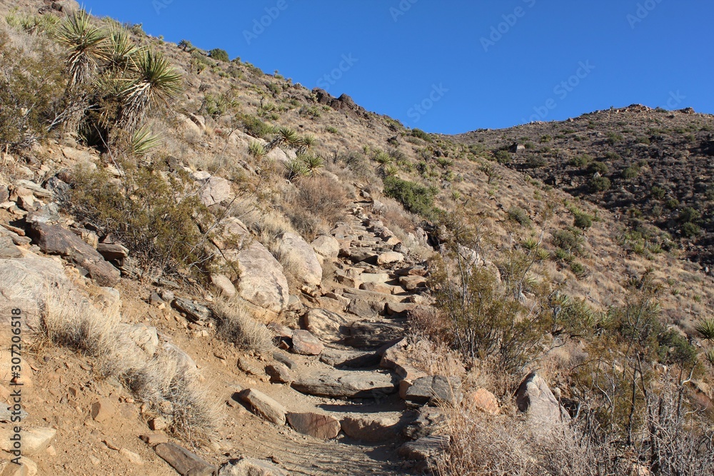 The Little San Bernardino Range contains Ryan Mountain, and, within natural wonders of the Southern Mojave Desert, Joshua Tree National Park offers a tough trek to the summit.