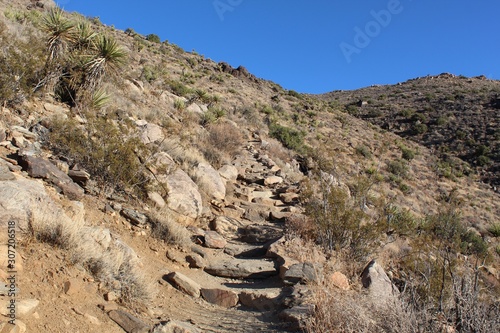 The Little San Bernardino Range contains Ryan Mountain, and, within natural wonders of the Southern Mojave Desert, Joshua Tree National Park offers a tough trek to the summit.