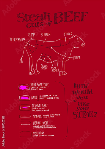 Hand drawn section beef cuts