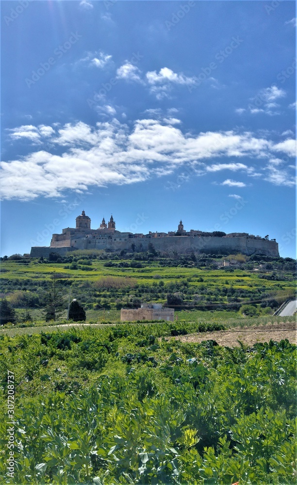 Green view to ancient mdina in the day, malta