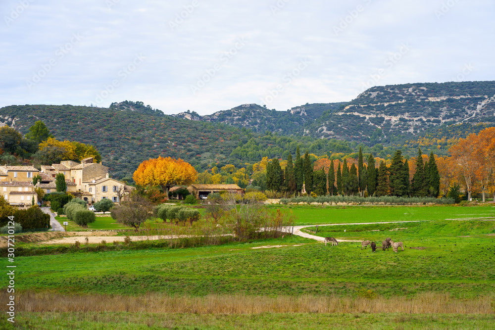 Vue panoramique sur le massif du Luberon en Automne. Provence, France. Les ânes en pâture au premier plan.