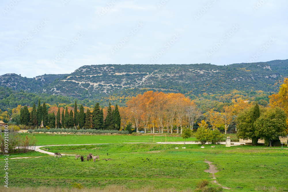 Vue panoramique sur le massif du Luberon en Automne. Provence, France. Les ânes en pâture au premier plan.