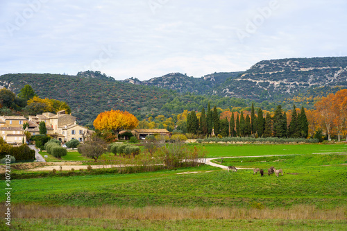 Obraz na płótnie Vue panoramique sur le massif du Luberon en Automne. Provence, France. Les ânes en pâture au premier plan. w salonie