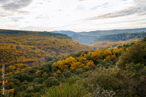 Obraz na płótnie Vue panoramique sur le foret automnal dans le parc national de Luberon, Provence, France. w salonie