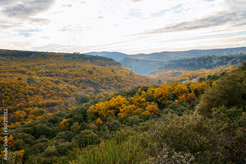 Vue panoramique sur le foret automnal dans le parc national de Luberon, Provence, France.