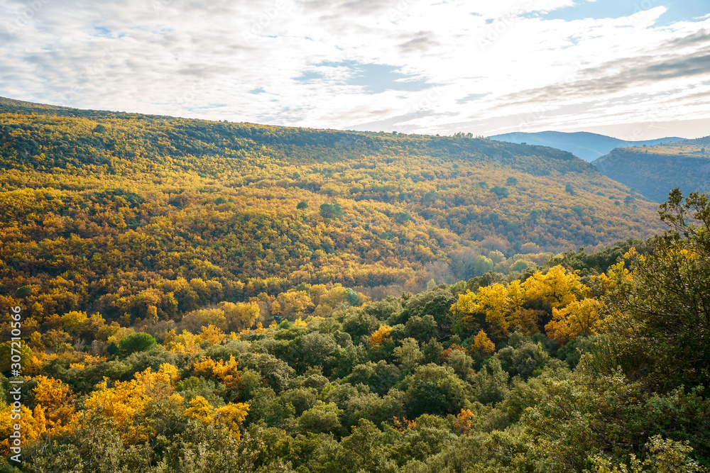 Vue panoramique sur le foret automnal dans le parc national de Luberon, Provence, France.