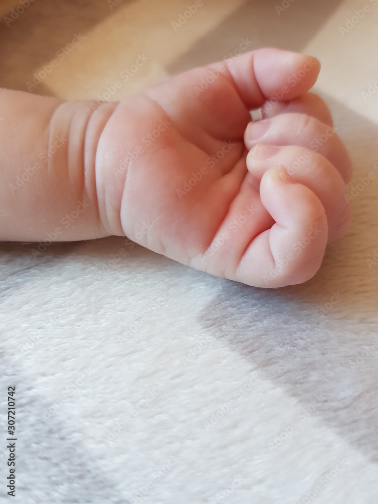 baby feet in hand baby feet in hand