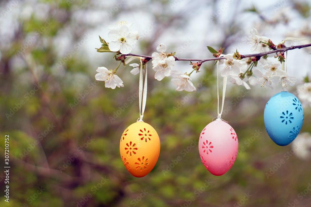 Three decorative Easter eggs hanging on blooming branch.