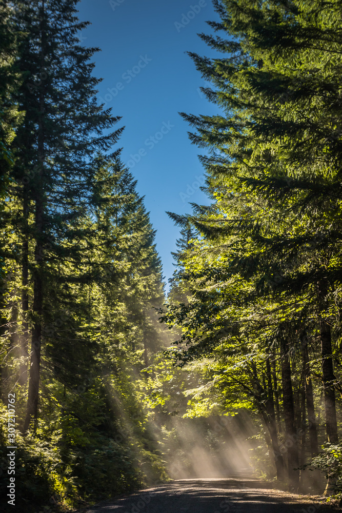 Sun rays Sun rays