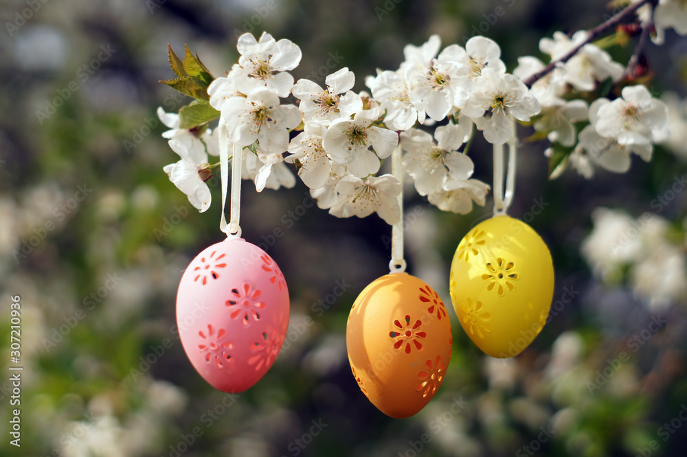 Three decorative Easter eggs hanging on blooming branch.