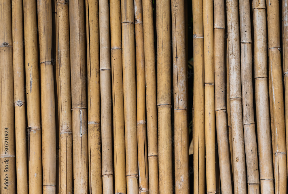 Dry bamboo fence texture or background. Eco natural background concept. Dry bamboo fence texture or background. Eco natural background concept.