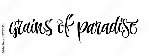 Grainf of paradise - vector hand drawn calligraphy style lettering word