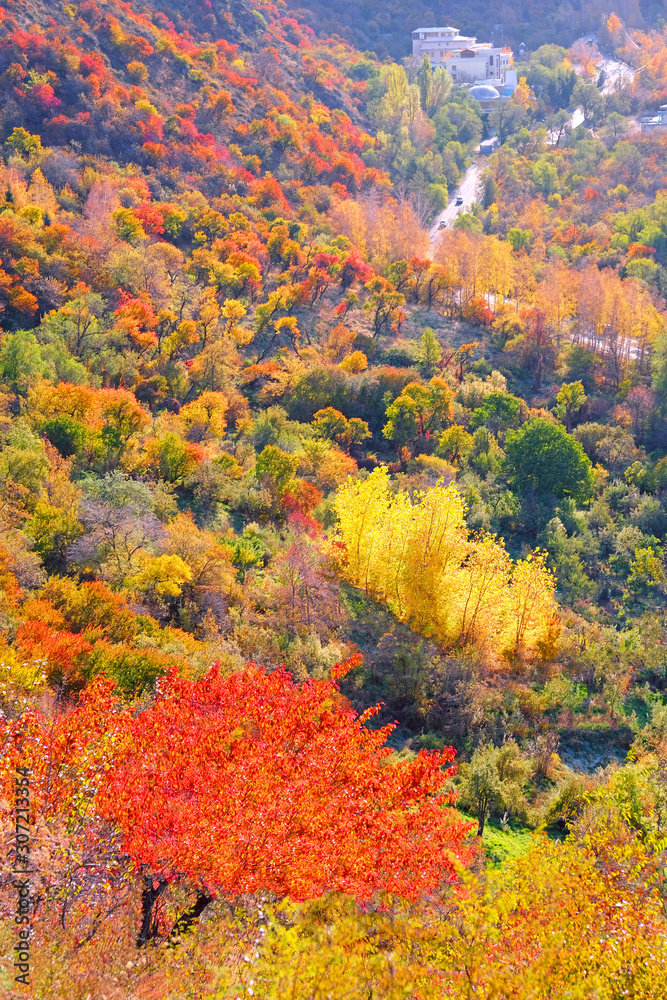 Golden autumn in Medeo gorge; Almaty city area, Kazakhstan Golden autumn in Medeo gorge; Almaty city area, Kazakhstan