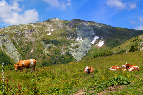 Speiereck - ein Ski und Wandergebiet im schönen Lungau photo