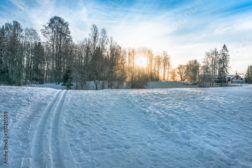 Multicolor winter landscapes.