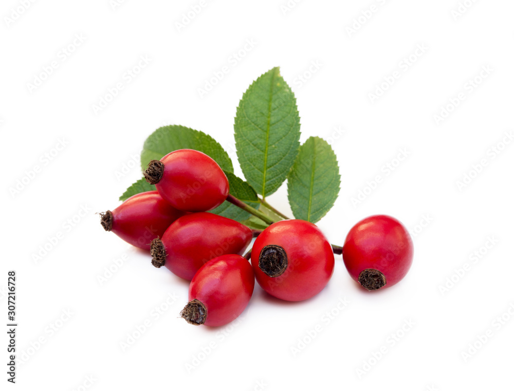 Ripe rose hip isolated on white background Ripe rose hip isolated on white background