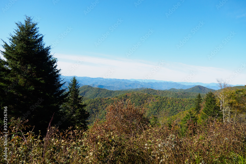 herbstwald herbstwald