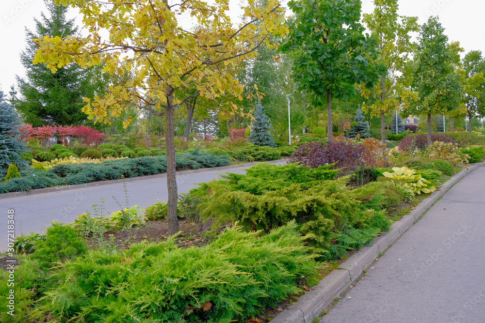 Tracks in the park with ornamental shrubs and trees on autumn day. Tracks in the park with ornamental shrubs and trees on autumn day.