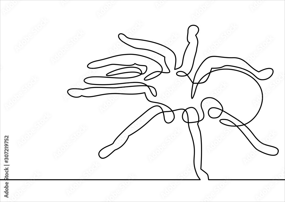 Fototapeta premium spider tarantula vector -continuous line drawing
