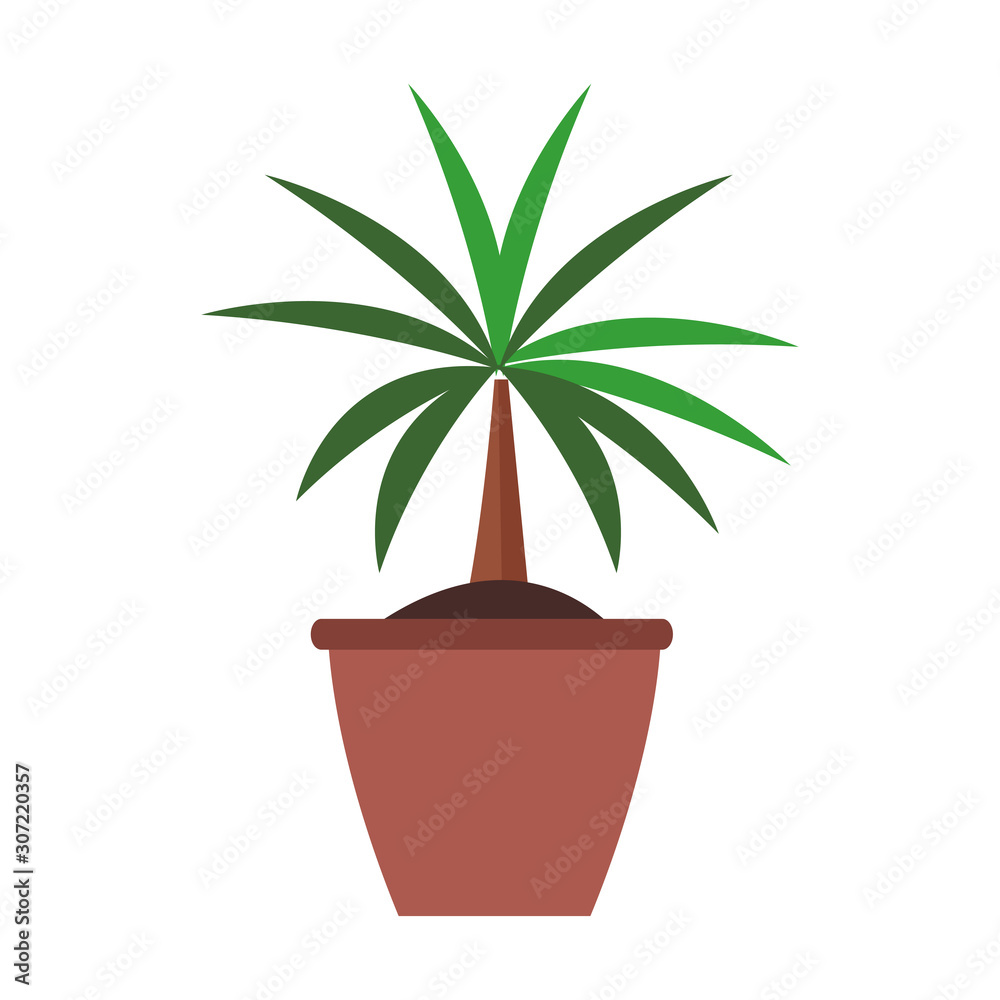 decorative plant in a pot icon, flat design