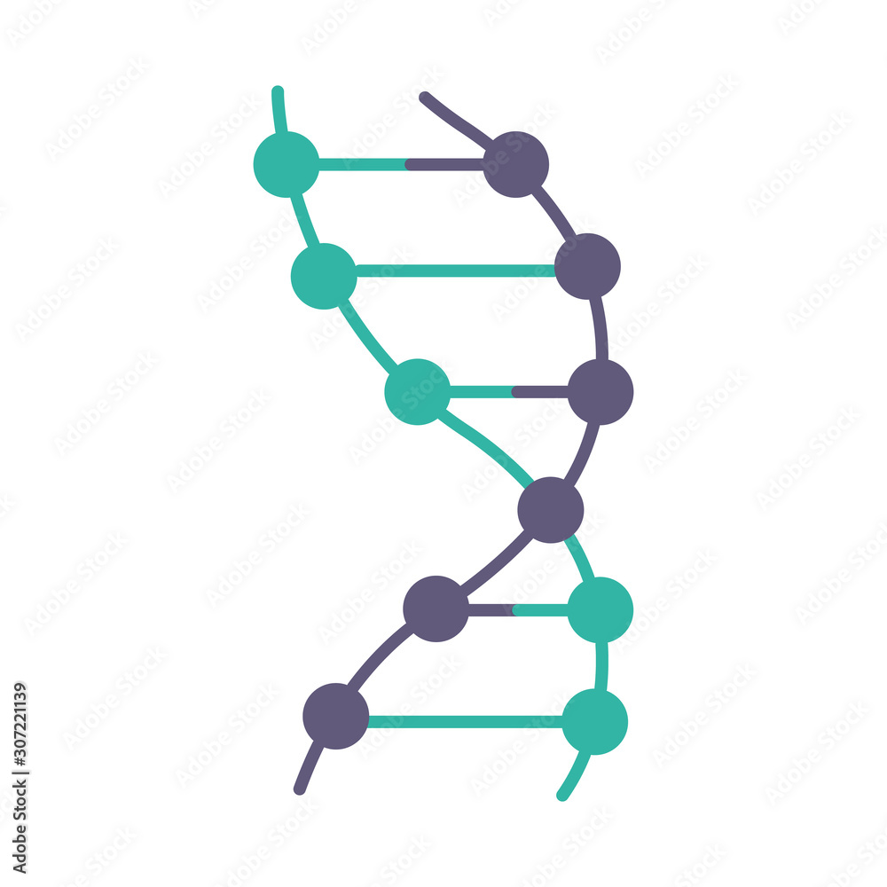 DNA helix violet and turquoise color icon. Z-DNA. Connected dots, lines. Deoxyribonucleic, nucleic acid structure. Chromosome. Molecular biology. Genetic code. Genetics. Isolated vector illustration