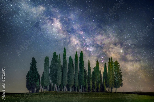 Green pine trees and milky way galaxy illustration