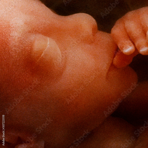 Obraz na płótnie In vitro image of a human fetus in the womb
