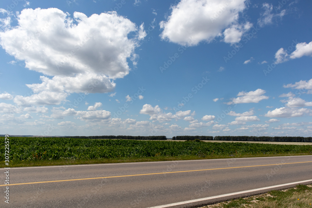 road in a soy filed and blue sky