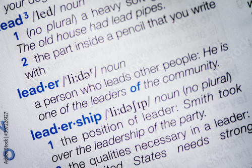 Dictionary definition of the dictionary word leader and leadership