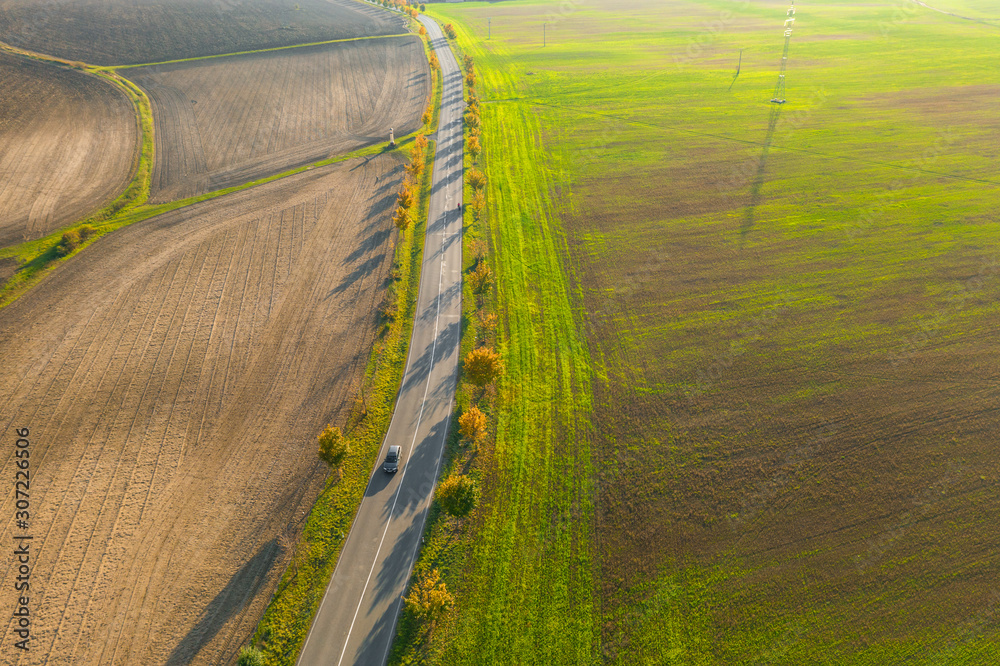 Road between green field and cultivated ground with yellow trees at sunset in autumn. Aerial view on speedway or trees alley. Agriculture concept.