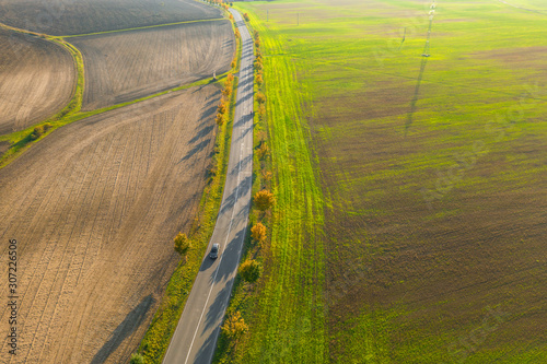 Road between green field and cultivated ground with yellow trees at sunset in autumn. Aerial view on speedway or trees alley. Agriculture concept.