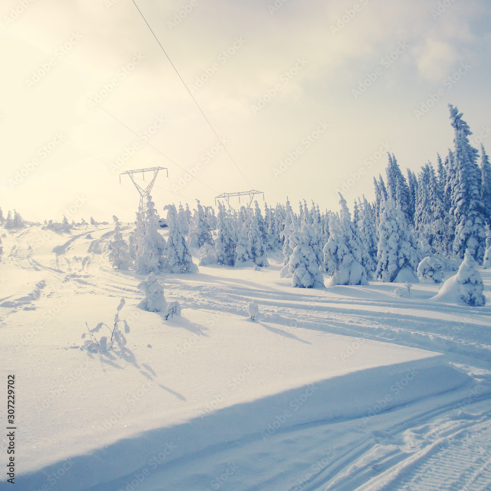 Obraz premium snow fall