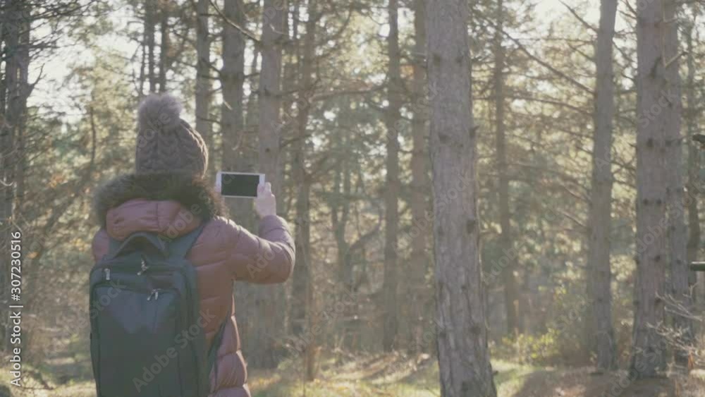 A girl walks through the autumn, coniferous forest. Take pictures of the surrounding nature on your smartphone A girl walks through the autumn, coniferous forest. Take pictures of the surrounding nature on your smartphone
