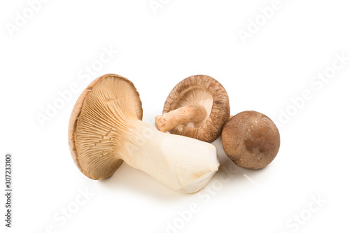 Fresh eringi mushrooms isolated on white background.