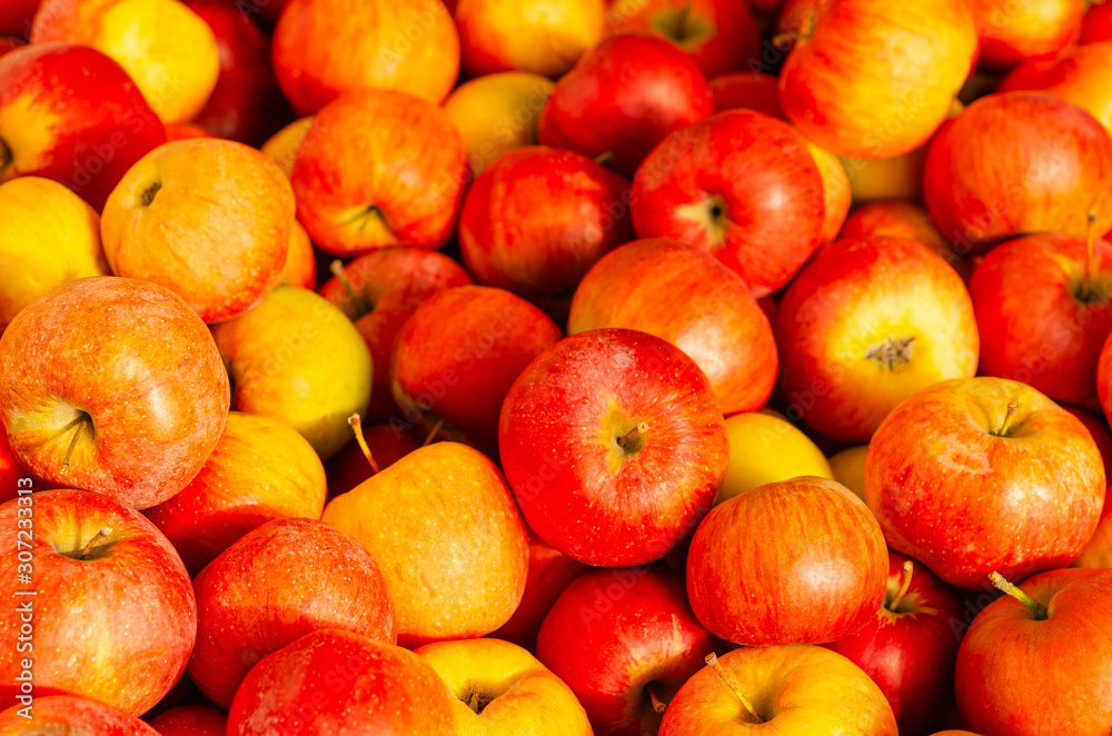 Fresh ripe organic red apples ready to be eaten, as background Fresh ripe organic red apples ready to be eaten, as background