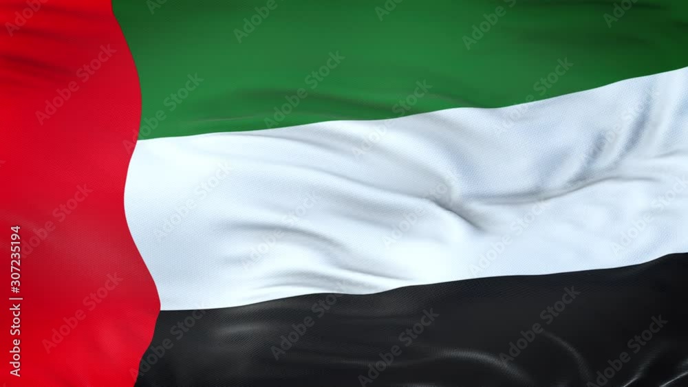 United Arab Emirates flag waving in the wind with highly detailed fabric texture. Seamless loop United Arab Emirates flag waving in the wind with highly detailed fabric texture. Seamless loop