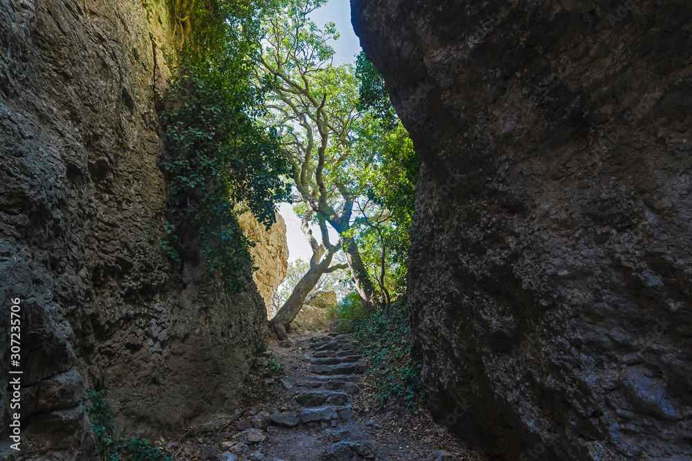 Crimea. View of a narrow gorge.